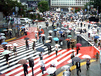 おしゃれ雨具