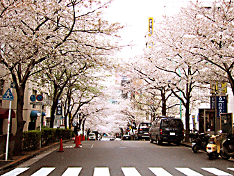 “ふつうの渋谷”